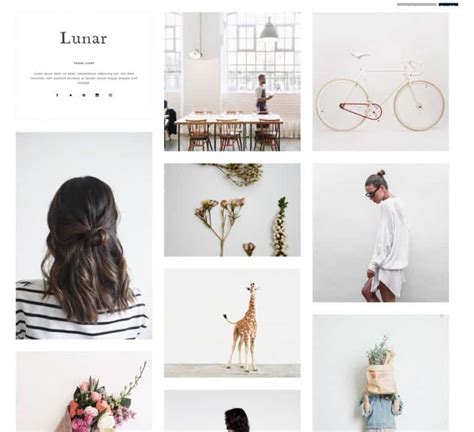 themes tumblr|tumblr themes copy and paste.